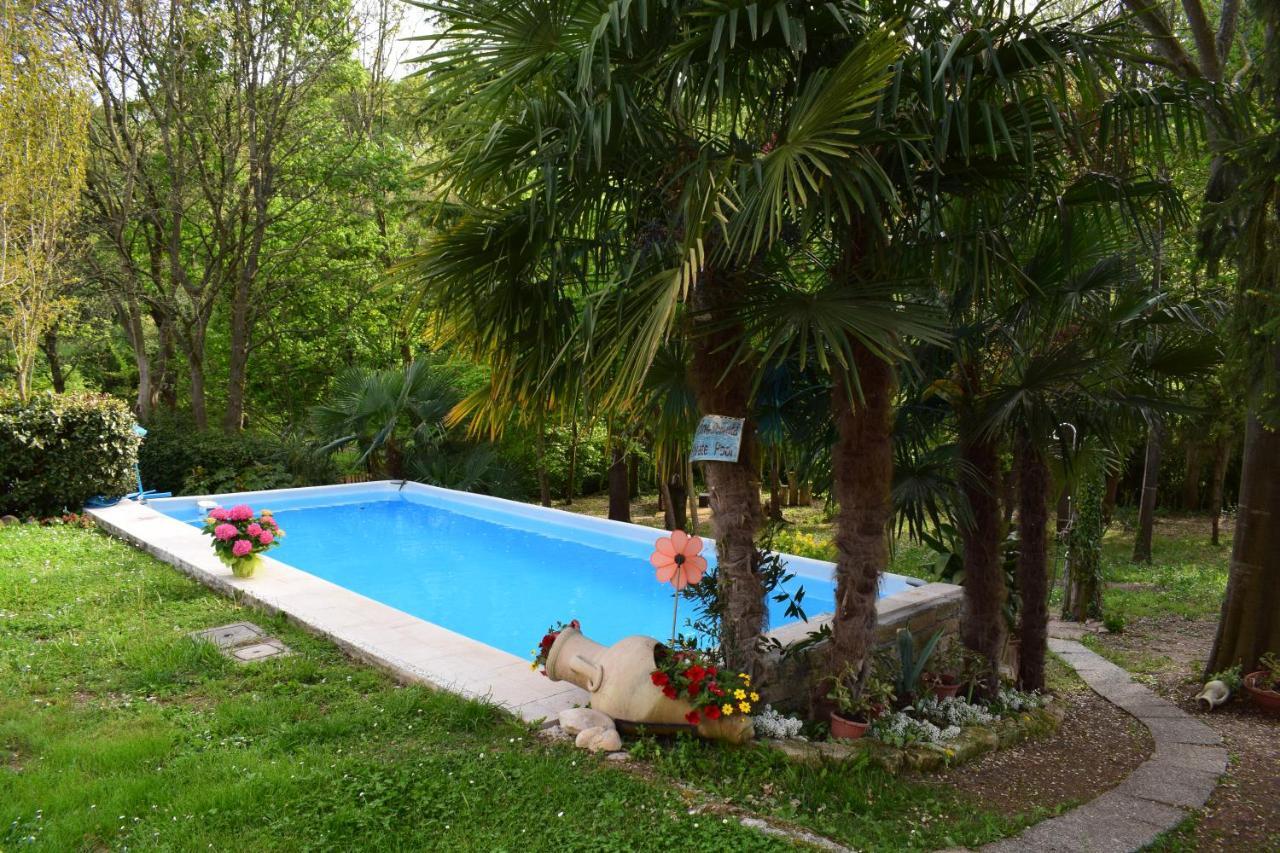 Casa Belvedere Monzambano Ngoại thất bức ảnh